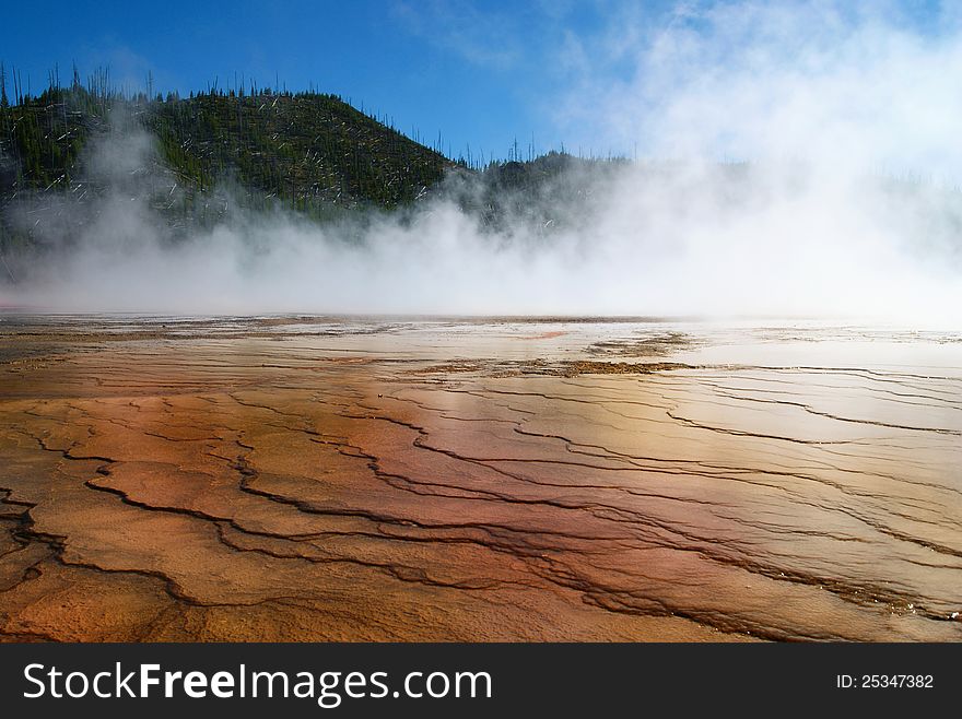 Geyser in Yellowstone National Park, Wyoming. USA.