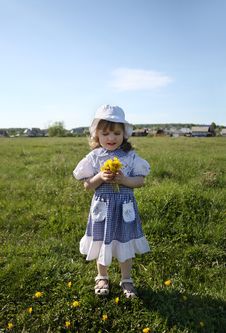 Little Girl Holds Yellow Dandelions On Green Field Royalty Free Stock Photography Little Girl Holds Yellow Dandelions On Green Field Royalty Free Stock Photography