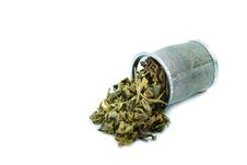 Used Tea In Trash Filter Royalty Free Stock Photography