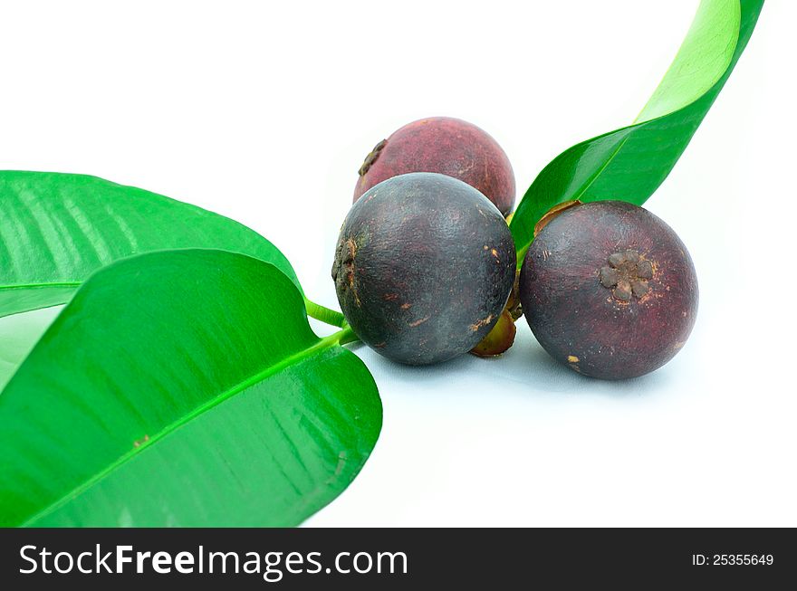 Isolated of mangosteen fruit and leaves