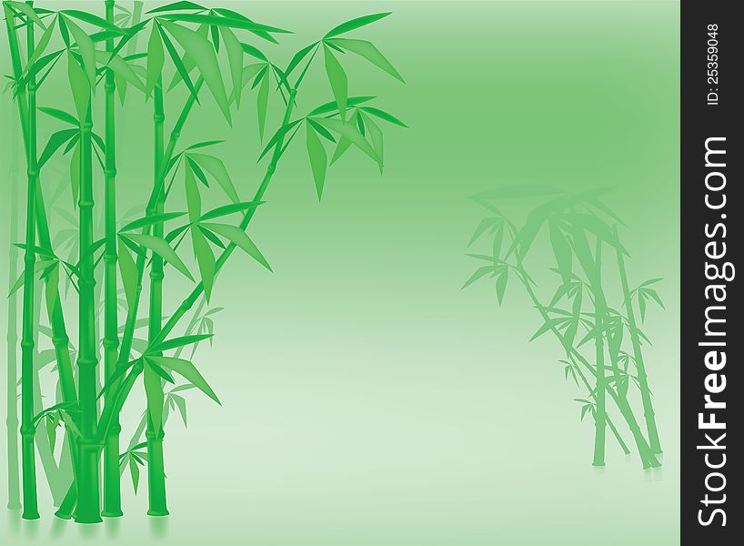 Bamboo