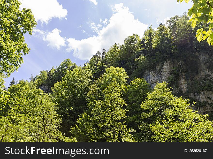 Canyon In The Mountains, Panorama Of The Area, Summer Season, Awakening In Nature And The Birth Of A New Day