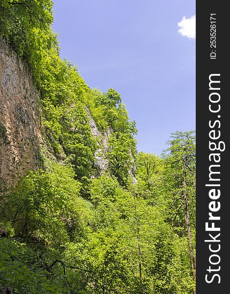 Canyon In The Mountains, Panorama Of The Area, Summer Season, Awakening In Nature And The Birth Of A New Day