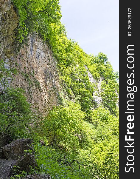 Canyon In The Mountains, Panorama Of The Area, Summer Season, Awakening In Nature And The Birth Of A New Day