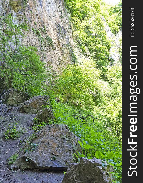 canyon in the mountains, panorama of the area, summer season, awakening in nature and the birth of a new day