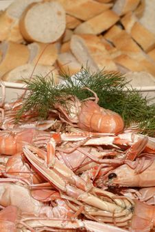 Crayfish And Bread Stock Image Crayfish And Bread Stock Image