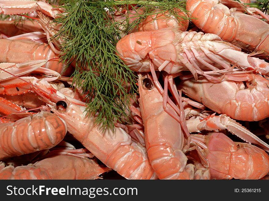 Crayfish and dill on a plate