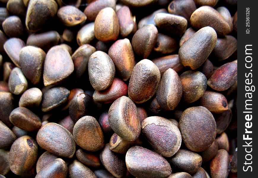 There are brown natural cedar nuts. Closeup.