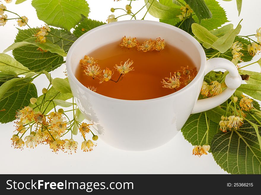 A cup of linden tree flower on white. A cup of linden tree flower on white