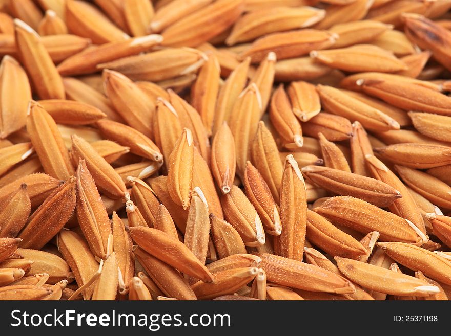 Macro rice seeds for background