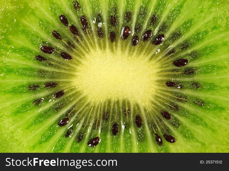 Fresh kiwi slice for healthful