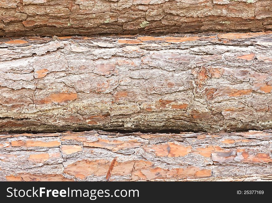 Textured background of the three horizontal pine tree trunks. Textured background of the three horizontal pine tree trunks