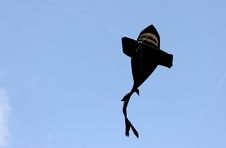 Fish Kites Royalty Free Stock Image Fish Kites Royalty Free Stock Image