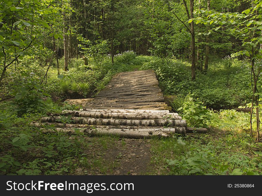 The timbered bridge in wood. The timbered bridge in wood.