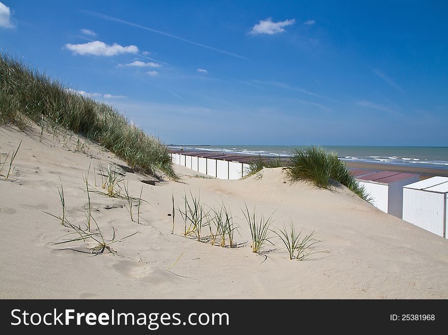 Sand dunes with grass, sea and blue sky. Sand dunes with grass, sea and blue sky