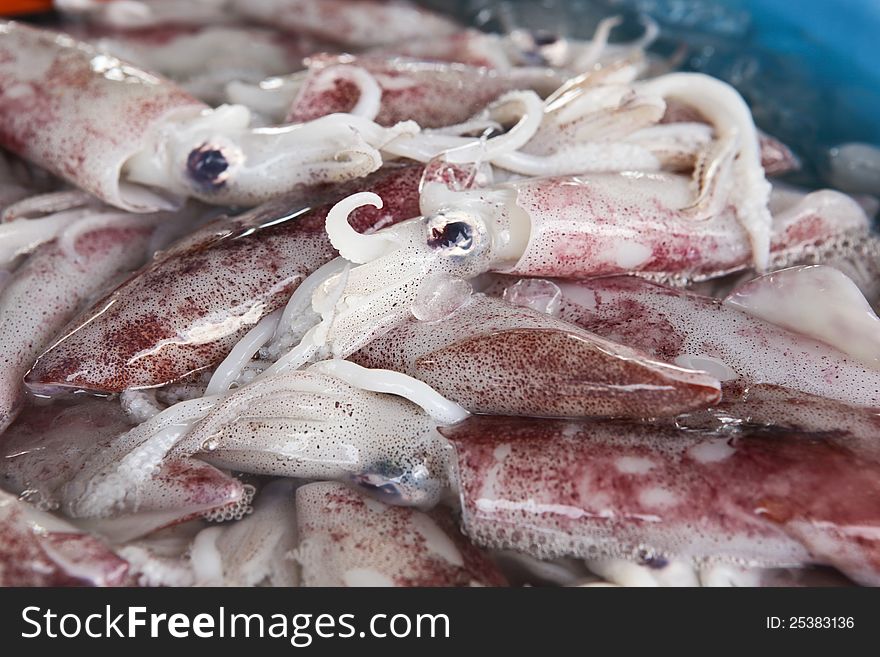 A fresh squid for sale at a market