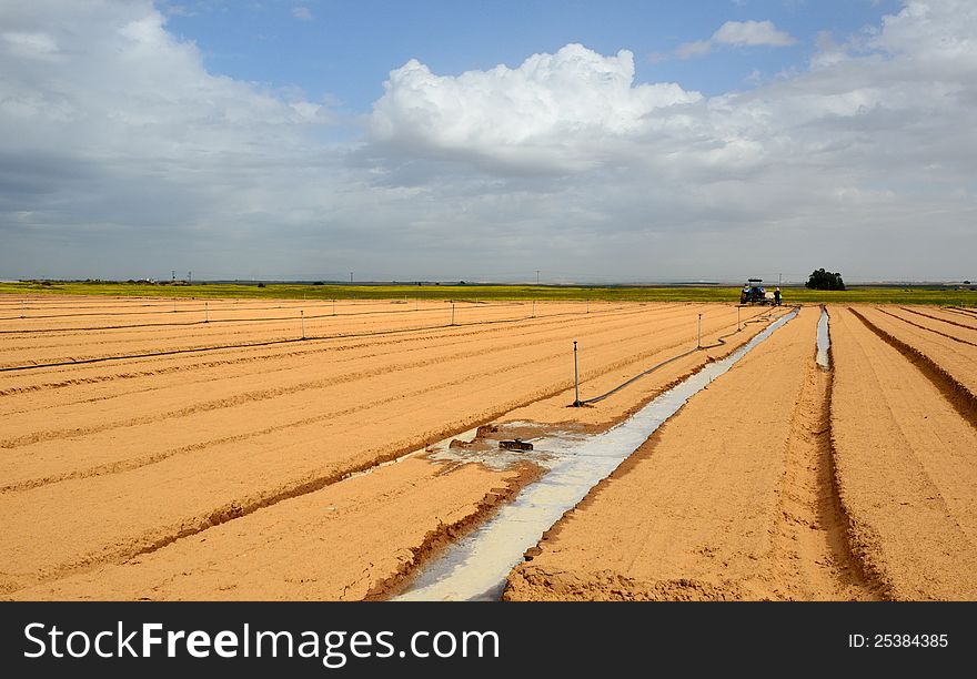 Field being watered by automatic sprinkler system. Field being watered by automatic sprinkler system
