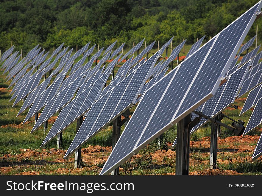 Solar panels are like sunflowers.