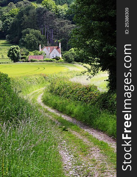 English Rural landscape with farm track between hedgerows. English Rural landscape with farm track between hedgerows
