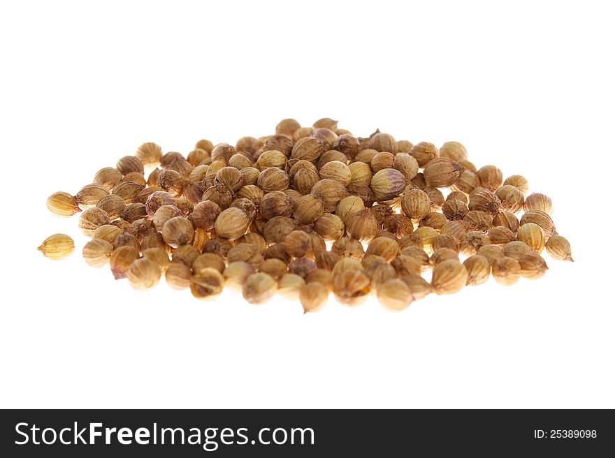 Fresh aromatic coriander seeds isolated on white background