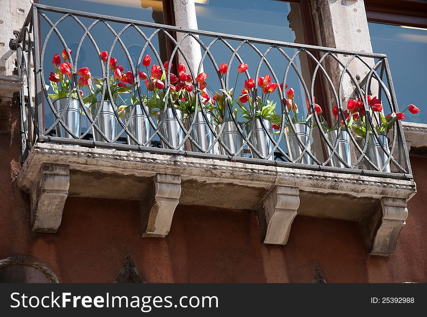 Balcony with tulips