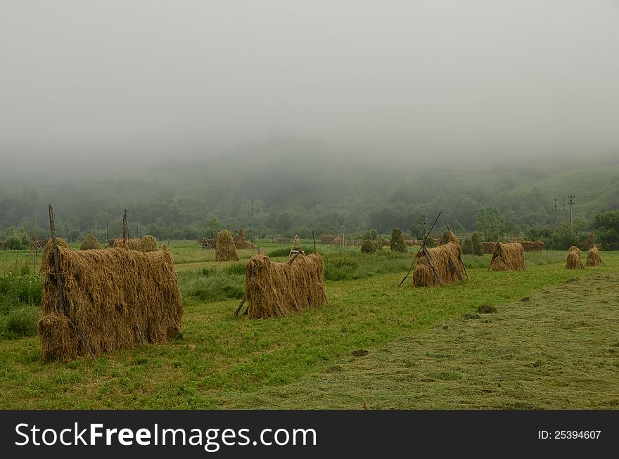 Hill landscape with private property corn and haycock. Hill landscape with private property corn and haycock