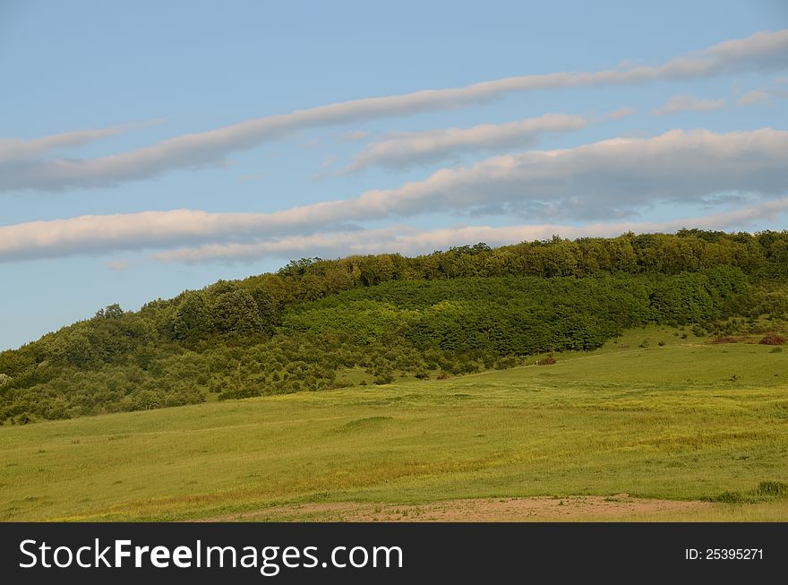 Green hill and forest rural agriculture. Green hill and forest rural agriculture