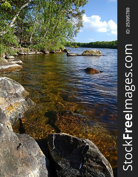 Wild lake coast in vertical