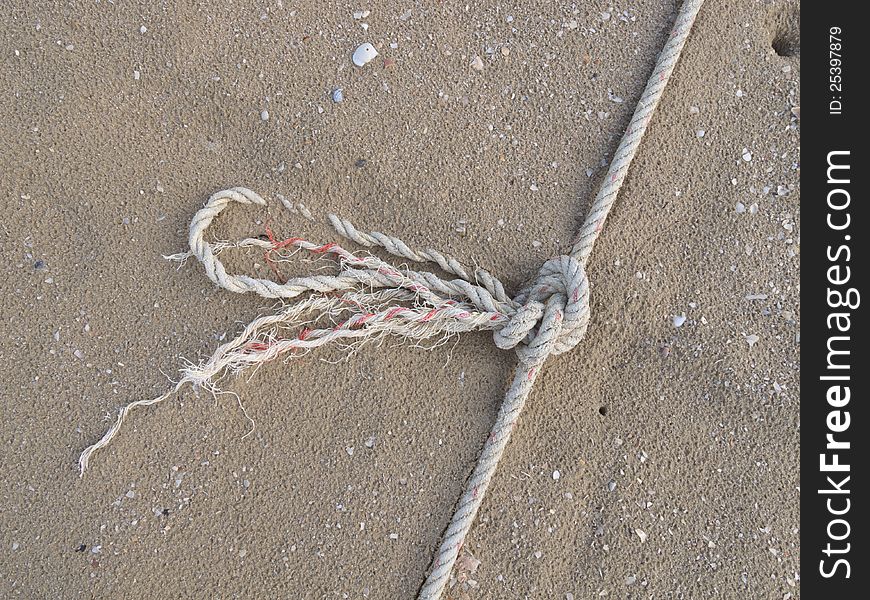 A knot on the beach.