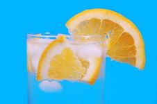 Sipping Oranges Royalty Free Stock Photography Sipping Oranges Royalty Free Stock Photography