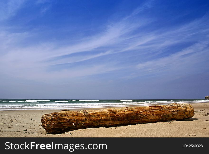 A photo of a big blue sky in the beach with a trunk. A photo of a big blue sky in the beach with a trunk
