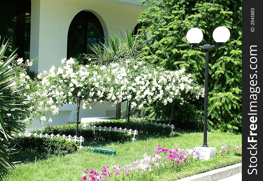 A park in a tropical city with a sidewalk and lamps. A park in a tropical city with a sidewalk and lamps