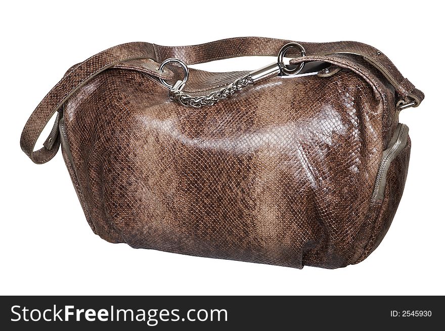 Fashionable Brown Bag
