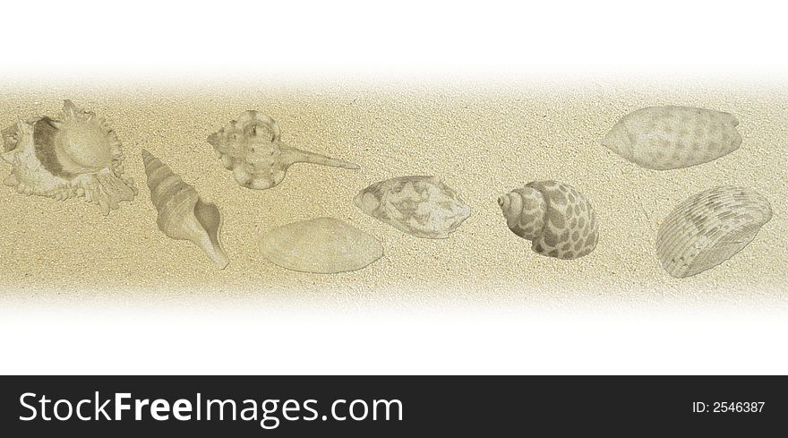 Shell texture with sand for background