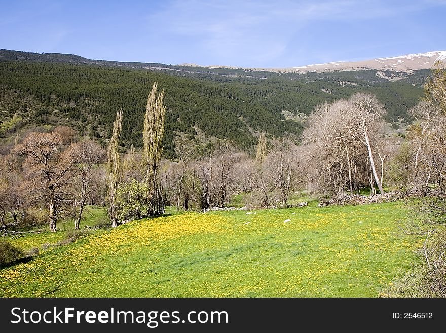 Pyrenees in Meranges (Cerdanya), Girona province, Catalonia, Spain. Pyrenees in Meranges (Cerdanya), Girona province, Catalonia, Spain