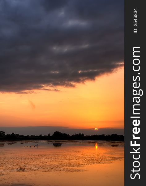 Beautiful summser sunset with swans floating on the lake. Beautiful summser sunset with swans floating on the lake