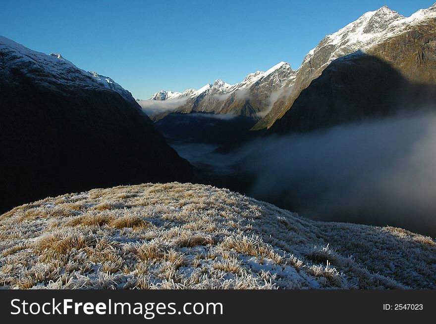 Milford track landscape