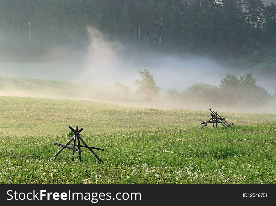 Green field in a morning fog in the spring