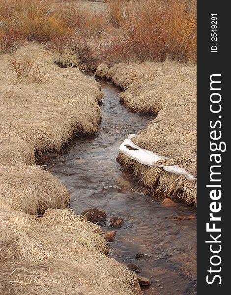 Creek flowing through Hallowell Park - Rocky Mountain National Park