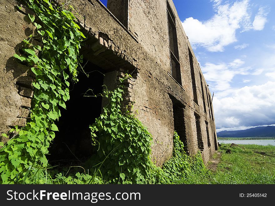 A deserted building covered by climbing plants