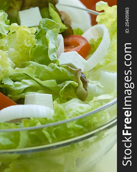 Salad - appetizer is healthy and nutritious meals in summer days