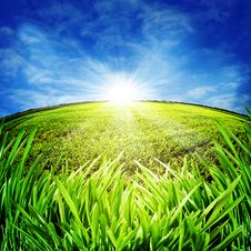 Sunny Morning On The Meadow Royalty Free Stock Image Sunny Morning On The Meadow Royalty Free Stock Image
