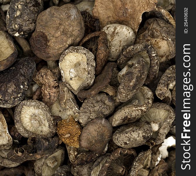 Dried mushrooms for sale at a market.