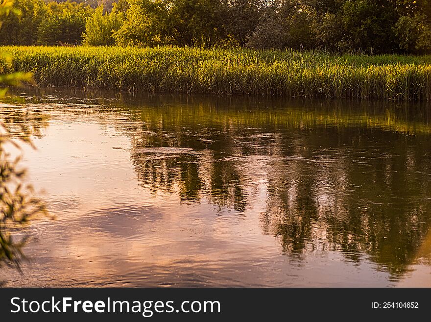 Beautiful Delta River Romanian Nature