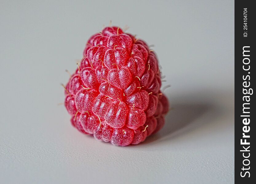 Single Raspberry Close View Macro