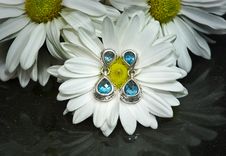 Blue Topaz Earrings With White Gerbera Daisies Royalty Free Stock Photo Blue Topaz Earrings With White Gerbera Daisies Royalty Free Stock Photo