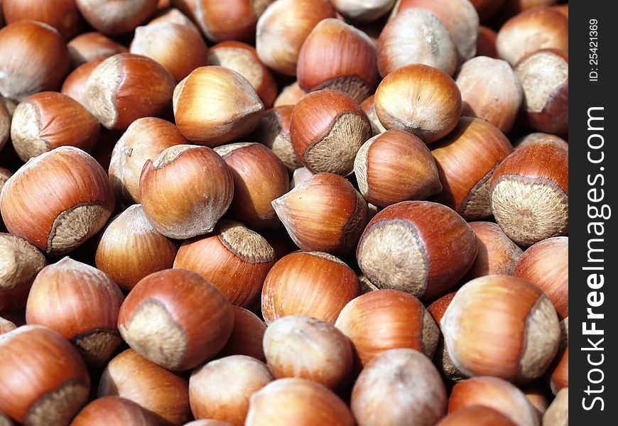 The photo of a set of dried hazelnuts with a shell