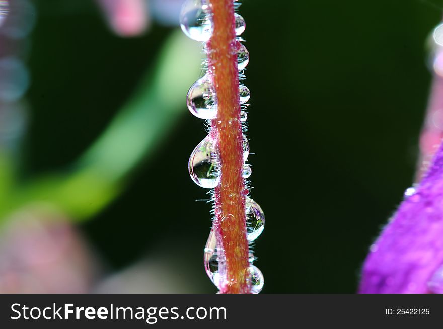 Clear water drops with blur background