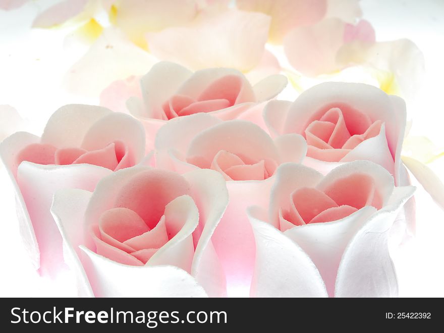 Close up image of pink roses