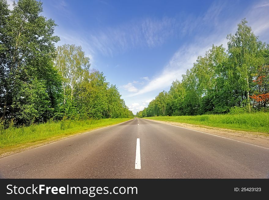 Smooth Asphalt Road Surrounded By Forest.